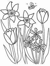 Spring Getcolorings Colouring Tulip Ausmalbilder Malvorlage Malvorlagen sketch template