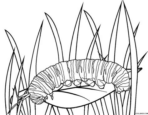 coloring pages caterpillar  butterfly