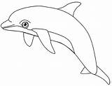 Lumba Mewarnai Putih Sketsa Hewan Dolphin Binatang Ikan Kartun Belajar Paud Gajah Singa Animal Dahan sketch template
