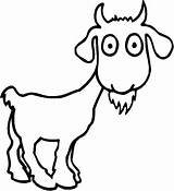 Goat Coloring Cute Goats Drawing Printable Pygmy Surprised Capricorn Skinny Clipart Adult Draw Getdrawings Procoloring Choose sketch template