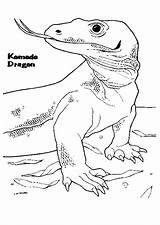Komodo Dragon Coloring Pages Color Printable Komodos Animals Sheet sketch template