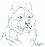 Husky Coloring Pages Siberian Alaskan Dog Line Realistic Drawings Bing Drawing Horse Print Google Sketch Animal Board Colouring Comments Deviantart sketch template