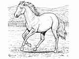 Horse Coloring Pages Breyer Cowboy Color Printable Games Getcolorings Colouring Getdrawings Colorings sketch template