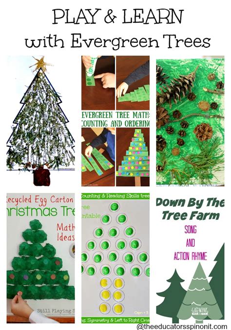 educators spin   evergreen tree sensory craft playfulpreschool