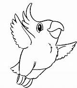 Parrot Coloring Flying Pages Getdrawings Getcolorings Color sketch template