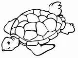 Turtle Pages Coloring Sea Kids Cute Getdrawings Getcolorings sketch template