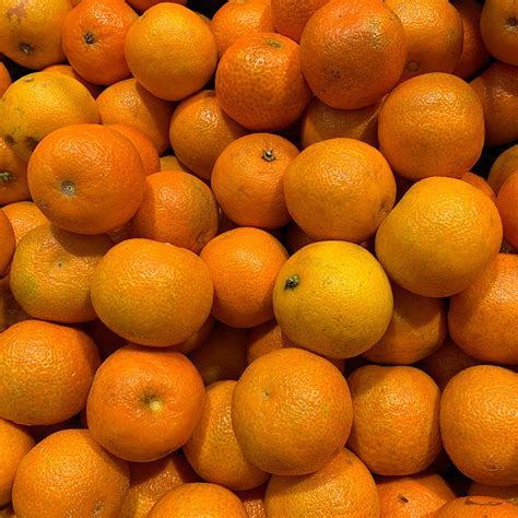 citrus deliciosa mandarino vivaio noaro