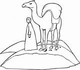 Camel Coloring Pages Kids Camels Desert Printable Loaded Through Go Caravan Books Print Popular sketch template