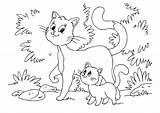 Coloring Kitten Cat sketch template