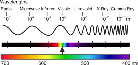 top   wavelengths  visible light  longest  shortest