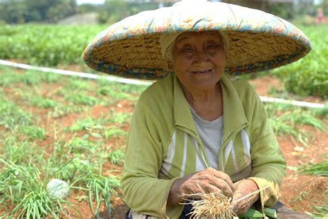 female farmers face multi layered struggle opinion  jakarta post