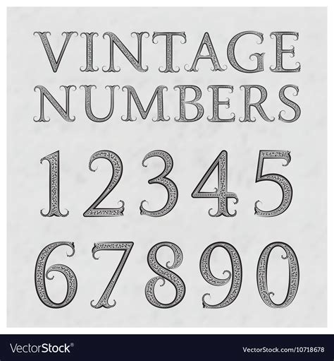 vintage patterned numbers numbers  floral vector image