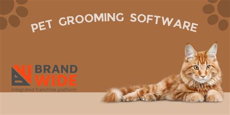pet grooming software     meetbrandwide
