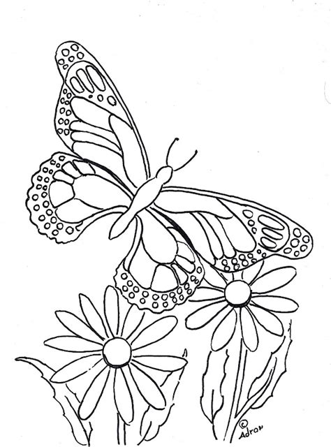 printable butterfly  flower coloring pages  coloring pages