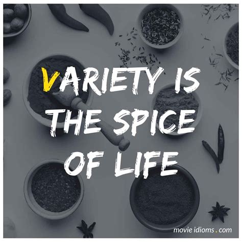 variety   spice  life idiom meaning examples  idioms