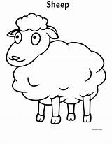 Sheep Coloring Pasture Coloringhome sketch template