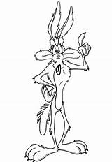 Coyote Wile Coiote Printable Kojot Papaleguas Looney Tunes Bajki Supercoloring Imagens Drukowanka Malowankę Wydrukuj sketch template