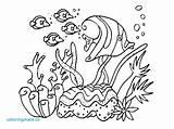 Plants Sea Coloring Pages Getdrawings Drawing sketch template