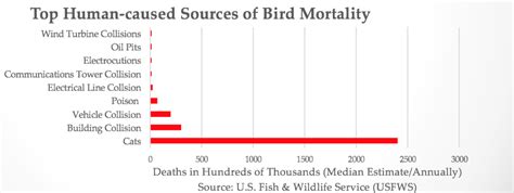 human causes bird mortality chart inside towers