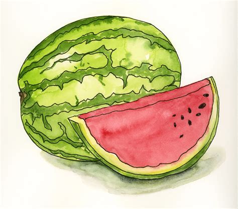 watermelon tumblr drawings
