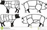 Schweinefleisch Schemi Porco Manzo sketch template