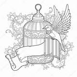 Coloring Bird Cage Elegant Pages Illustration Getcolorings Vector Color Getdrawings sketch template