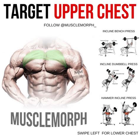 chest workout chest workout routine  chest workout chest