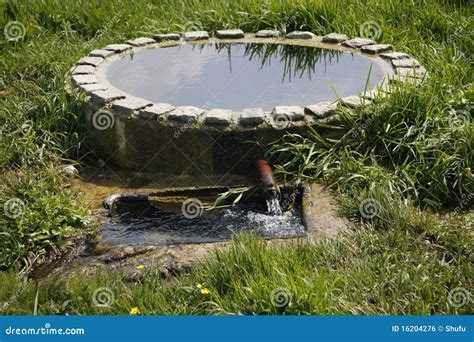 wellspring stock photo image  beauty flowing source