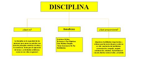 mapa conceptual de la disciplina