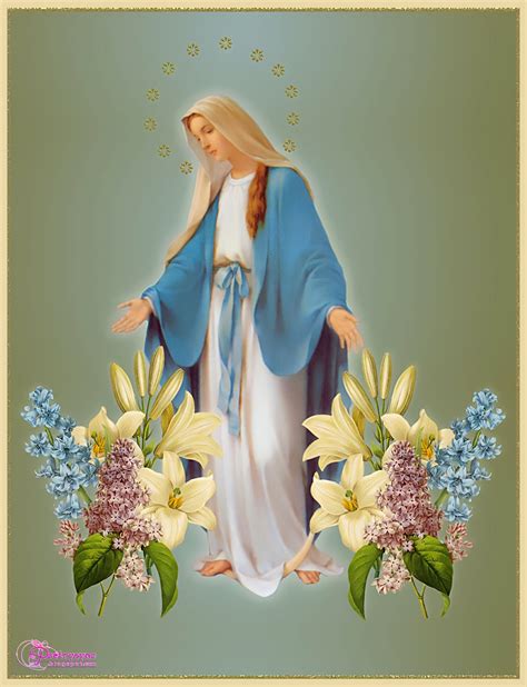 virgin mary pictures  wallpaper feast   immaculate conception  atbrookem