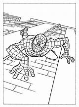 Spiderman Coloring Pages Colouring Printable Superhero sketch template