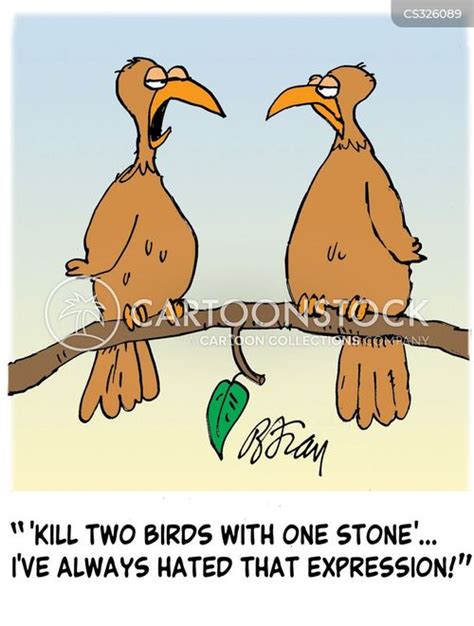 kill  birds   stone cartoons  comics funny pictures