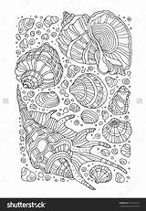 Coloring Pages Pattern Background Adult Cute Seashells Patterns Seashell Mandala Shutterstock Choose Board sketch template