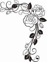 Coloring Pages Border Rose Designs Vine Drawing Vines Adult Stencils Visit одноклассники sketch template