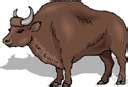 aurochs definition  aurochs    dictionary