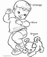 Learn Toddlers Farben Malvorlagen Mycoloring Coloringhome Sini Bermulanya sketch template
