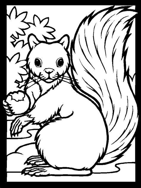 wildlife coloring pages coloring home