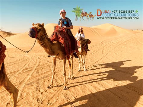 evening  dubai desert safari tours travel advice