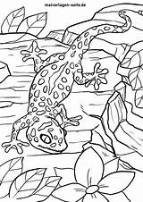 Malvorlage Gecko Tiere Malvorlagen Ausmalbilder Kostenlose Kinder sketch template