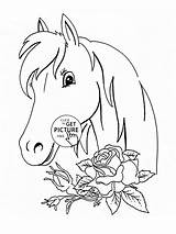 Coloring Horse Flower Pages Kids Horses Choose Board sketch template