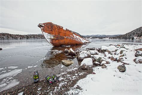 tips   cold water diving  enjoyable intotheplanet