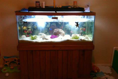 75 gallon fish tank stand Quotes