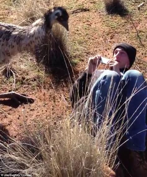 the moment an emu tried to mate with a us backpacker in the australian outback daily mail online