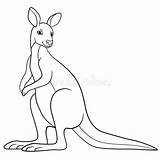 Kangaroo Smiles sketch template