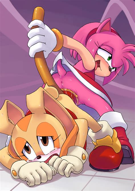 91093 Amy Rose Big The Cat Cream The Rabbit Greenhand Sonic Team Tags