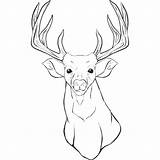 Deer Head Drawing Simple Drawings Paintingvalley Mule sketch template