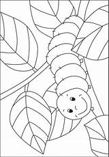 Caterpillar Coloring Pages Preschool Template Kindergarten Kids Pre Hungry Kigaportal Bug Schmetterling Raupe Nimmersatt Printable Von Crafts Kinder Butterfly Craft sketch template