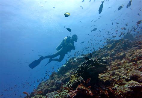 dive sites  bali  top  dives world adventure divers