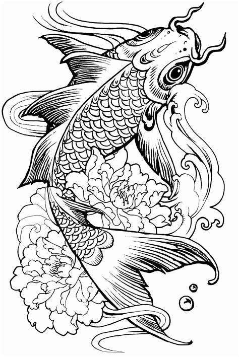 hard coloring pages  animals   animal coloring pages fish