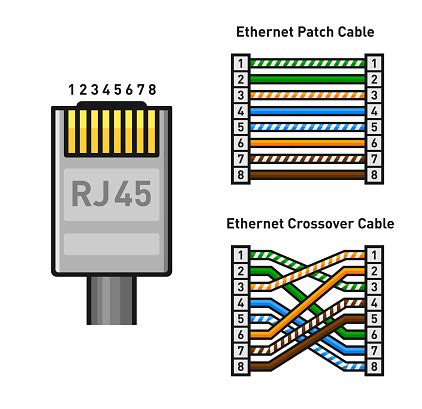 ethernet connector pinout color code straight  crossover rj connect stock illustration